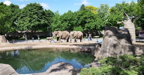  Chester Zoo!  An Oasis for Animal Lovers and Wildlife Enthusiasts Alike